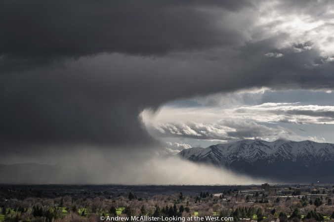 20130405_Cache Valley_8530