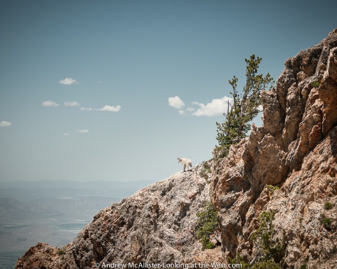 Friends in high places