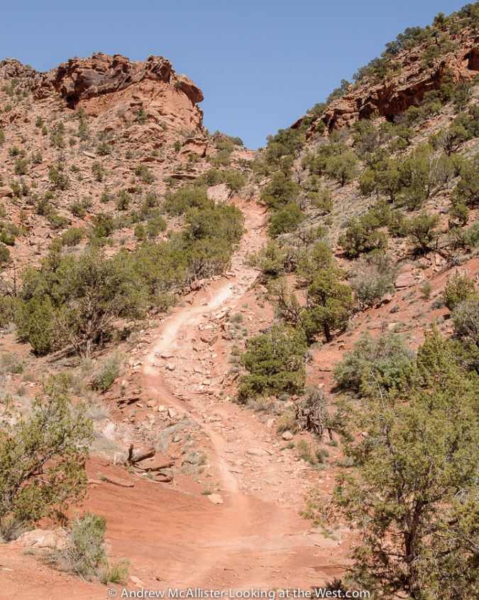Cruise Moab 2013 Kokopelli Trail