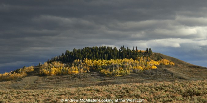 Fall color near Bondurant, Wyoming.