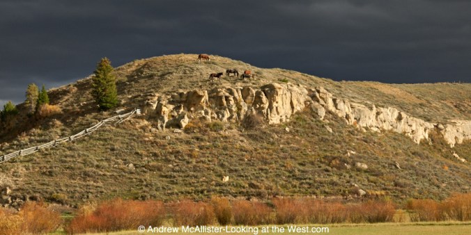 Horses south on Bondurant, Wyoming